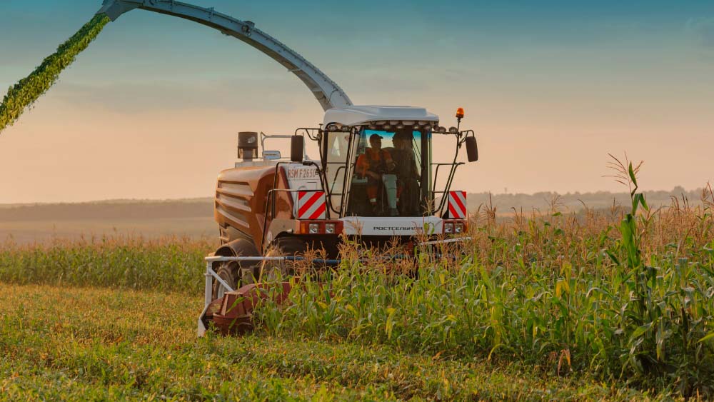 Кормоуборочный комбайн Ростсельмаш RSM F 2650: впечатления