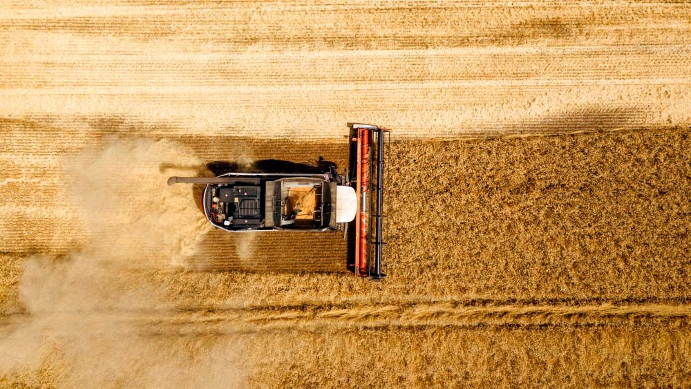 Мы знаем, что он делал прошлым летом