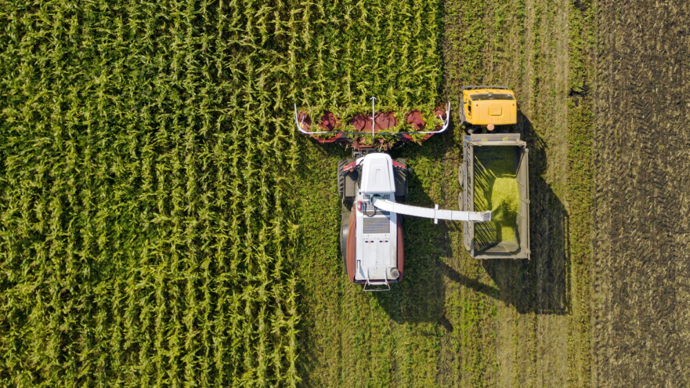 Кормоуборочный комбайн Ростсельмаш RSM F 2650. Вести с полей. 